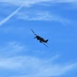 Flight Flight